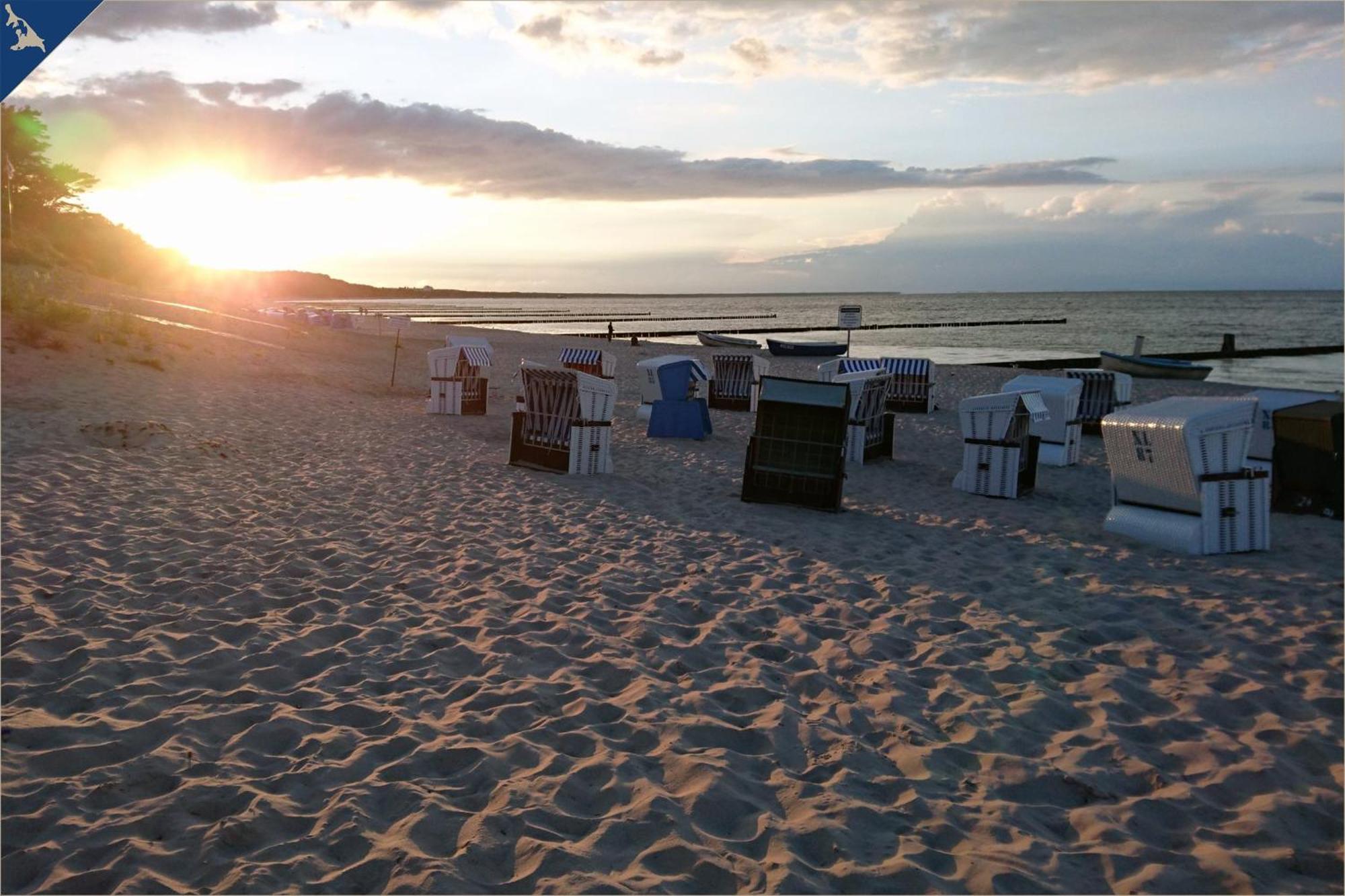 Nur 100M Zum Strand Fewo Ostseeflair By Pro Home Appartements Zempin Eksteriør billede