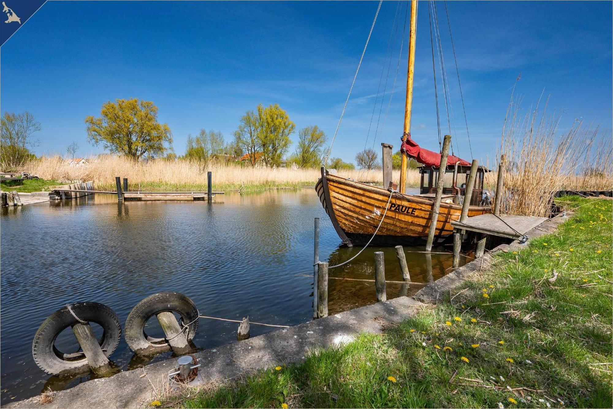 Nur 100M Zum Strand Fewo Ostseeflair By Pro Home Appartements Zempin Eksteriør billede