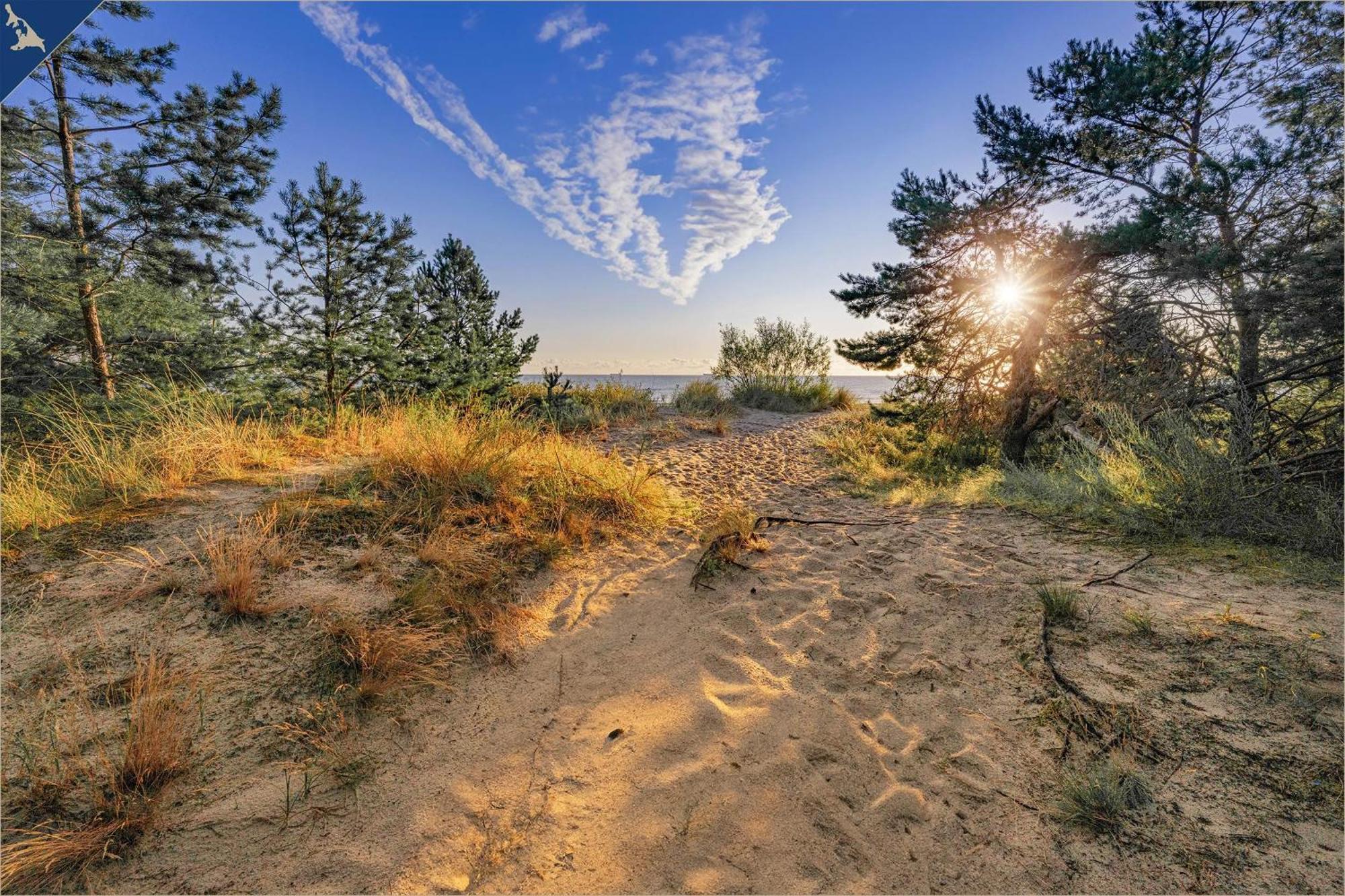 Nur 100M Zum Strand Fewo Ostseeflair By Pro Home Appartements Zempin Eksteriør billede